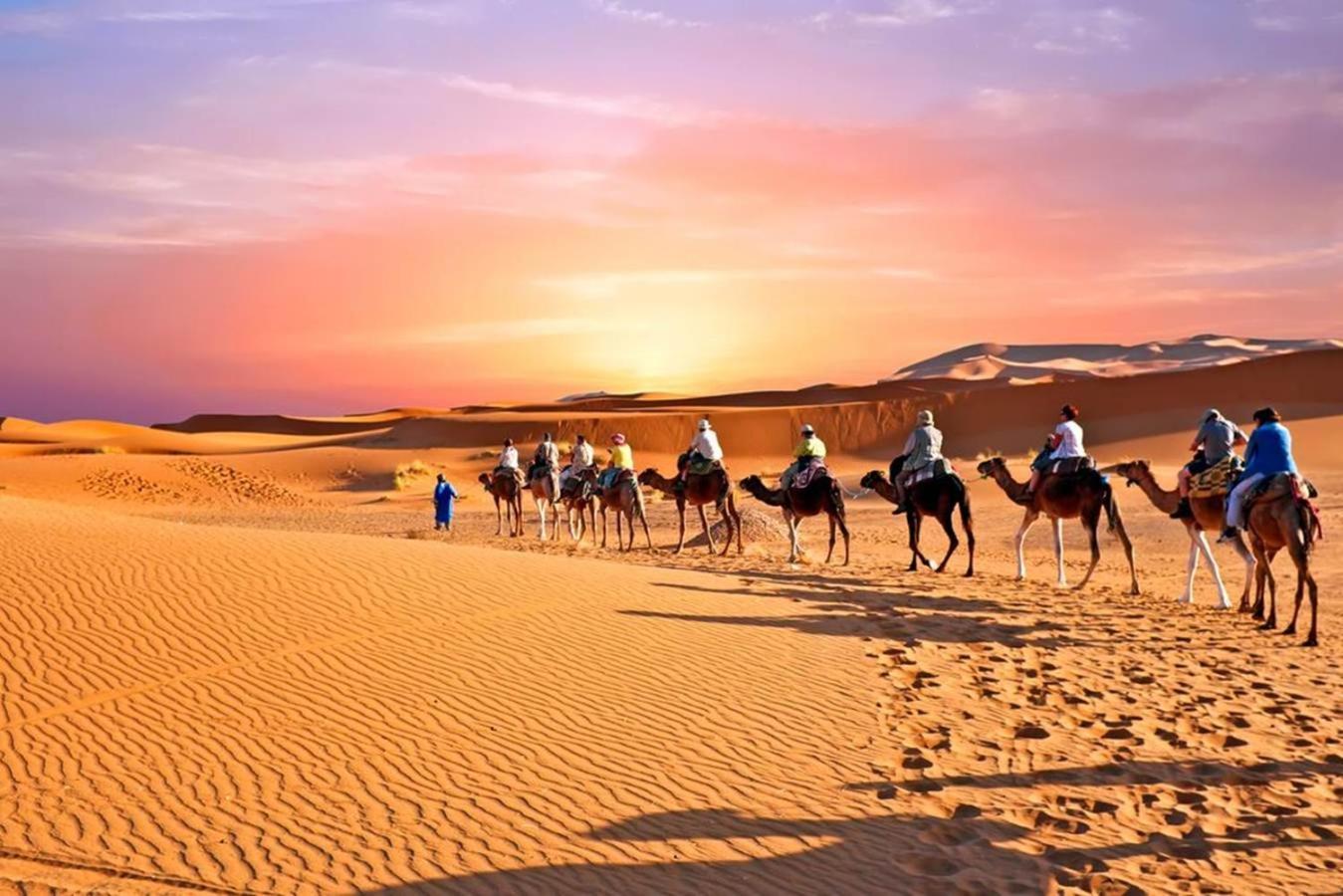 Desert Luxury Camp M'Hamid Exteriér fotografie